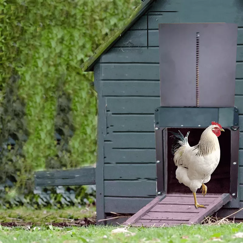Automatic  Chicken Coop Door - Light Sensor Waterproof