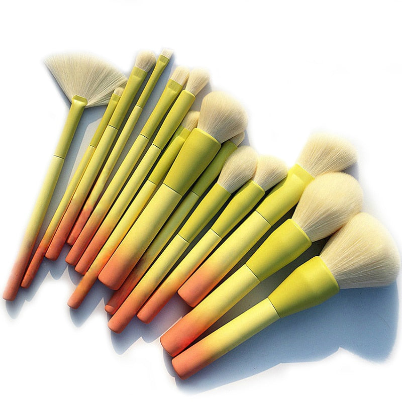 Pro Gradient Color 14pcs Makeup Brushes Set
